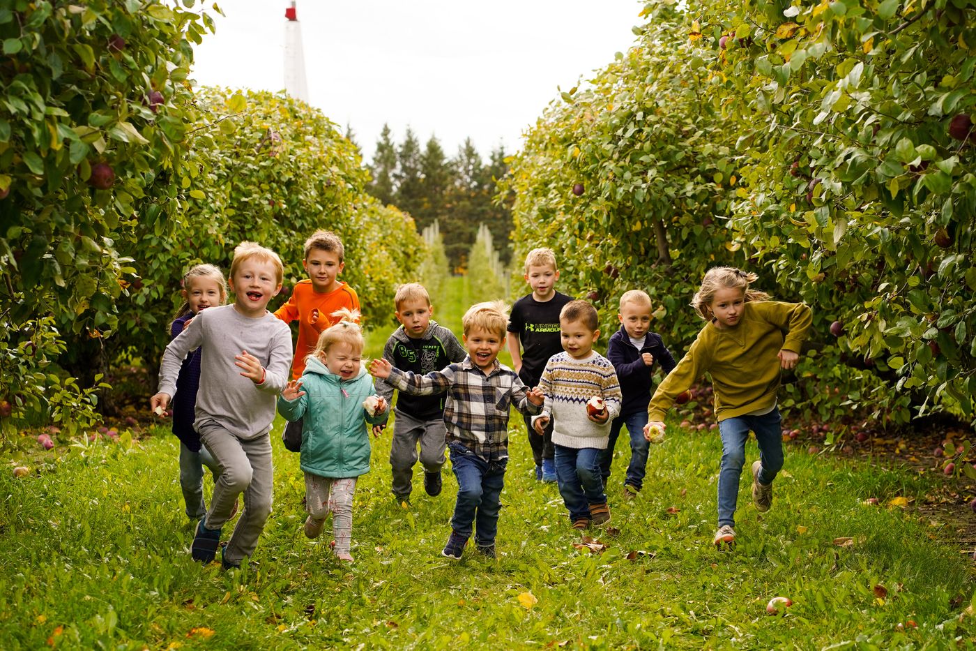 The Peterson kids running through an apple orchard